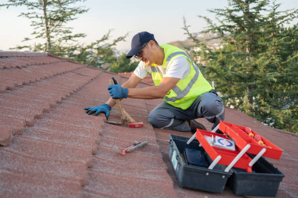 Best Roof Waterproofing Services  in Fort Belknap Agency, MT